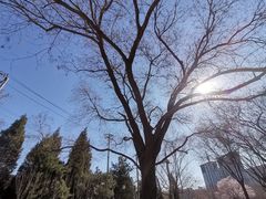 -玲珑塔公园