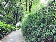 -上海市保健医疗中心(华东疗养院)