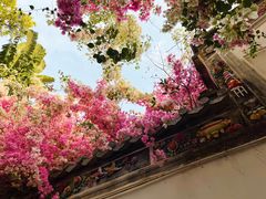 -深圳国际园林花卉博览园