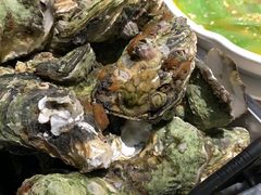 -张记旺角食街(动物园店)