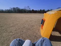 -石家庄市植物园