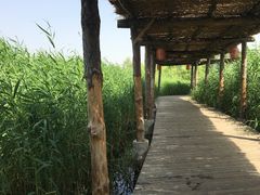 -处女泉风景名胜区