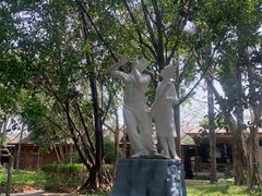 -瑞丽独树成林风景区