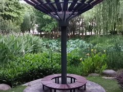 -陈家山荷花公园