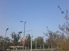 -澹台湖公园