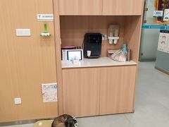 -小伙伴宠物医院•急重症转诊中心·老年专科·犬猫全科(北大街总院)