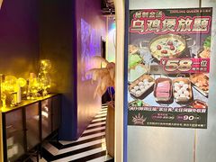 -Darling Queen·Mini·Live·House