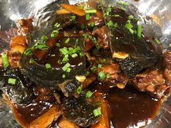 -诺鲜酒店(月河店)