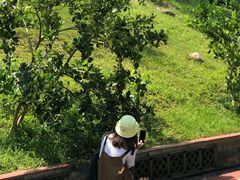 -广州神农草堂中医药博物馆