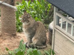 -青藏高原野生动物园