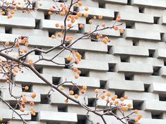 -国际非物质文化遗产博览园