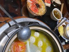 -志晖园圆子鸡·辣子鸡(阳光店)