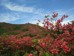 -大围山国家森林公园