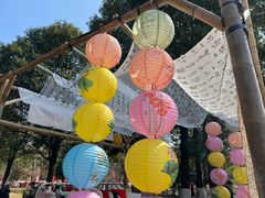 -花溪公园