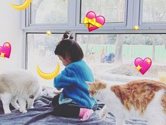 -李小姐の猫咖啡馆(五角场店)