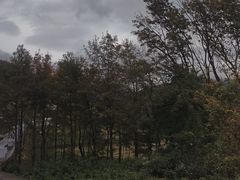 -塔川景区