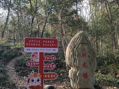 -上海佘山国家森林公园天马山园