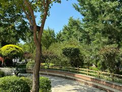 -南宫五洲植物乐园