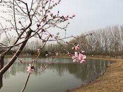 -东郊湿地公园