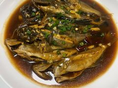 -福建美食城(老君堂店)