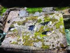 -南越王博物院(王宫展区)