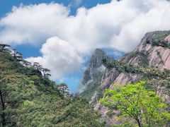 -黄山风景区