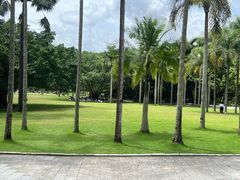 -深圳仙湖植物园