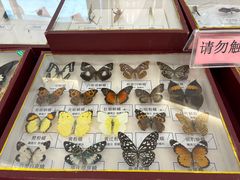 -昆山城市生态森林公园