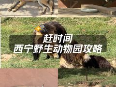-青藏高原野生动物园