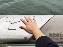 -星光大道