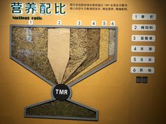 -君乐宝优致牧场
