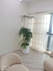 -HEYAN荷妍专业脱毛连锁机构