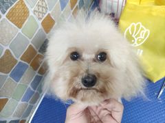 -宠颐生猫科·内科皮肤科(西平世纪城店)