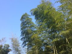 -黄公望隐居地