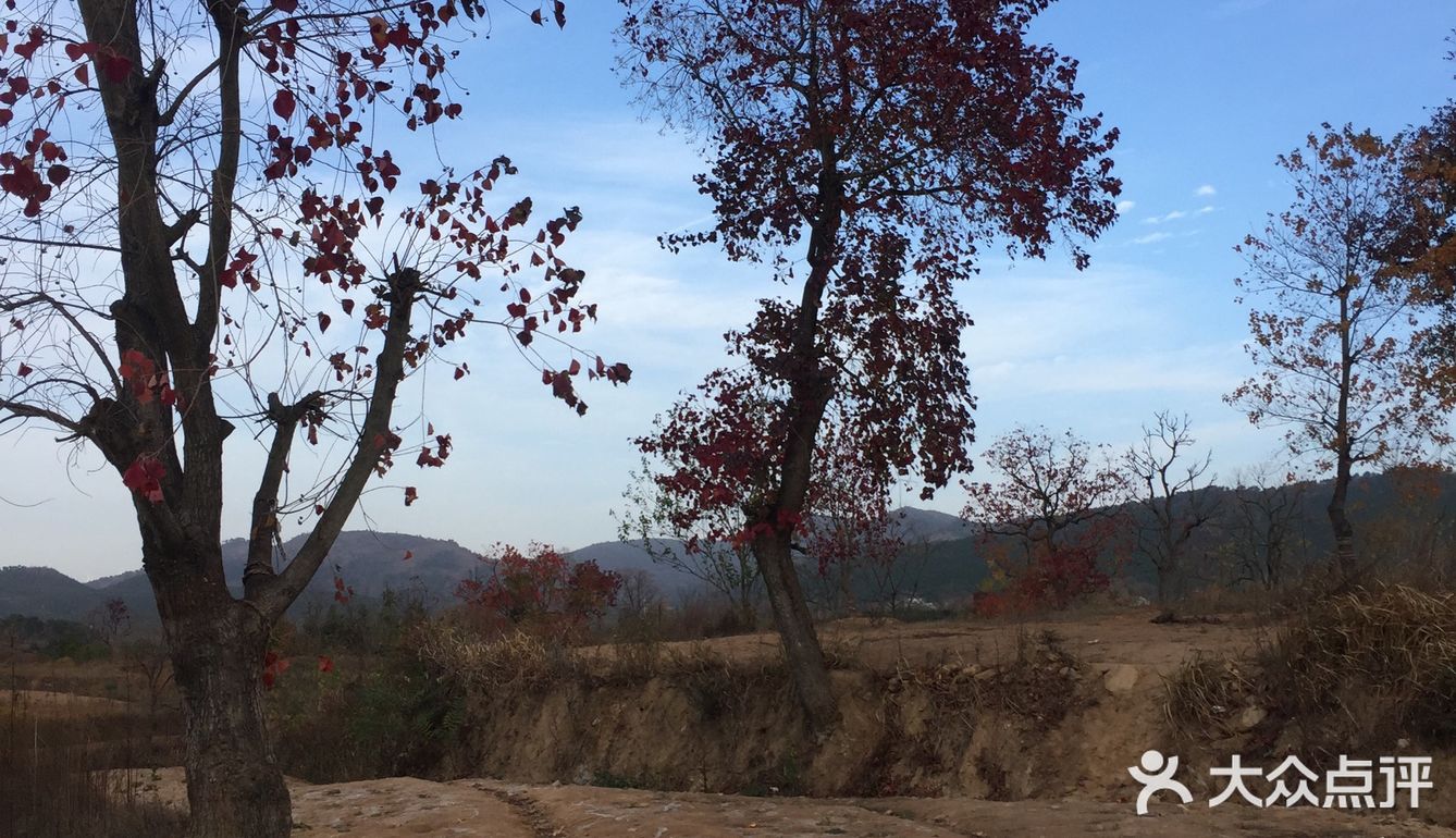 大悟红叶早已向往，今天终于来到四姑镇红叶景区