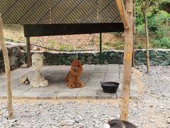 -西部长青自然儿童乐园