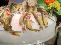 -苏格里岛自助海鲜烧烤火锅(南门口店)