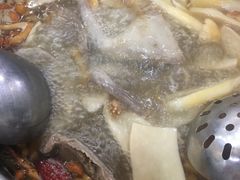 -鸽鸟轩(石岐店)