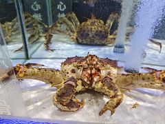 -五洲国际广场(文峰路店)