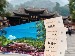 -峨眉山报国寺
