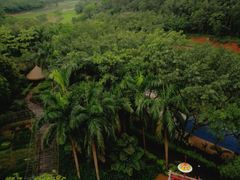 -广东茂名森林公园