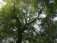 -石燕湖生态旅游景区