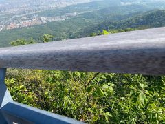 -紫金山山顶公园