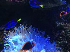 -左海海底世界