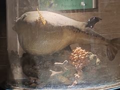 -太平洋海底世界