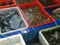 -霞涌市场海鲜摆卖区