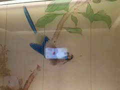 -华夏良子·足道SPA艾灸(三里屯店)