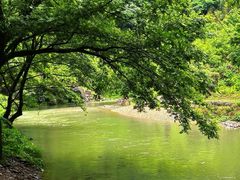 -水墨汀溪风景区