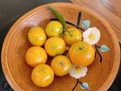 -丽君饭店(游客服务中心店)