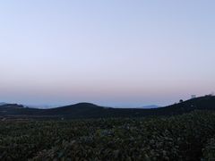 -龙坞茶村